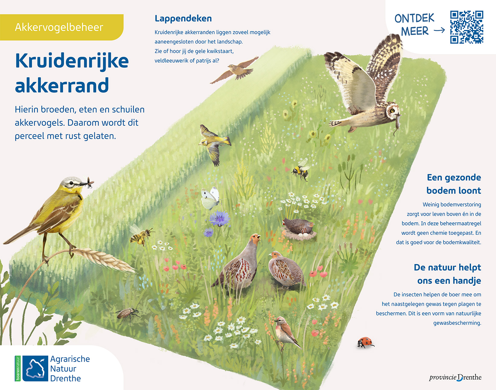 Agrarisch Natuur Drenthe informatieborden - Kruidenrijke Akkerrand