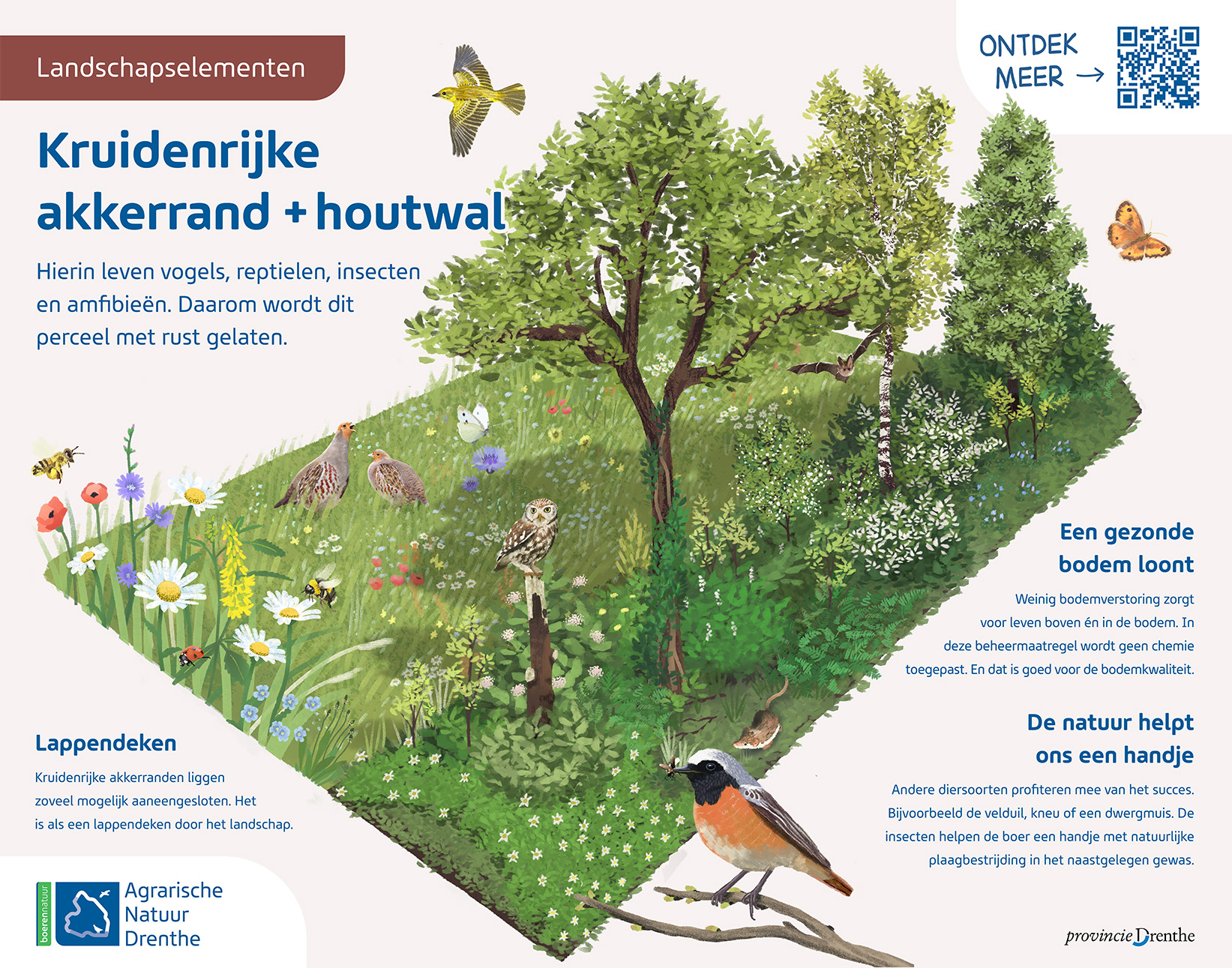 Agrarisch Natuur Drenthe informatieborden - Kruidenrijke akkerrand + houtwal